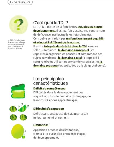 Flyer TDI - page 2